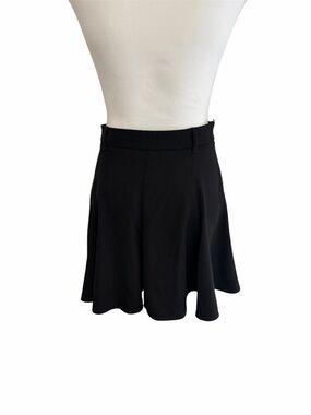 Zara Black Circle Skirt pants